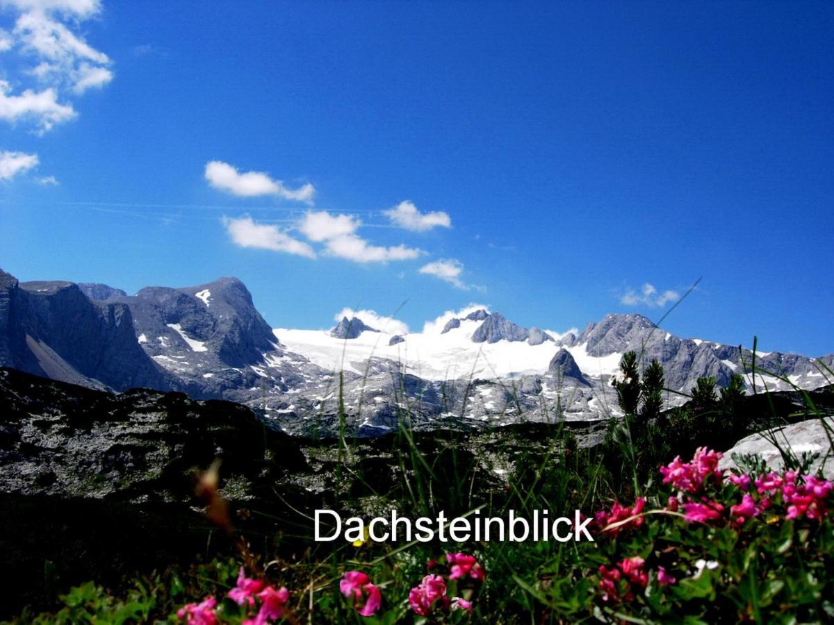 Haus Alpenblick Apartment โอเบอร์ทราวน์ ภายนอก รูปภาพ