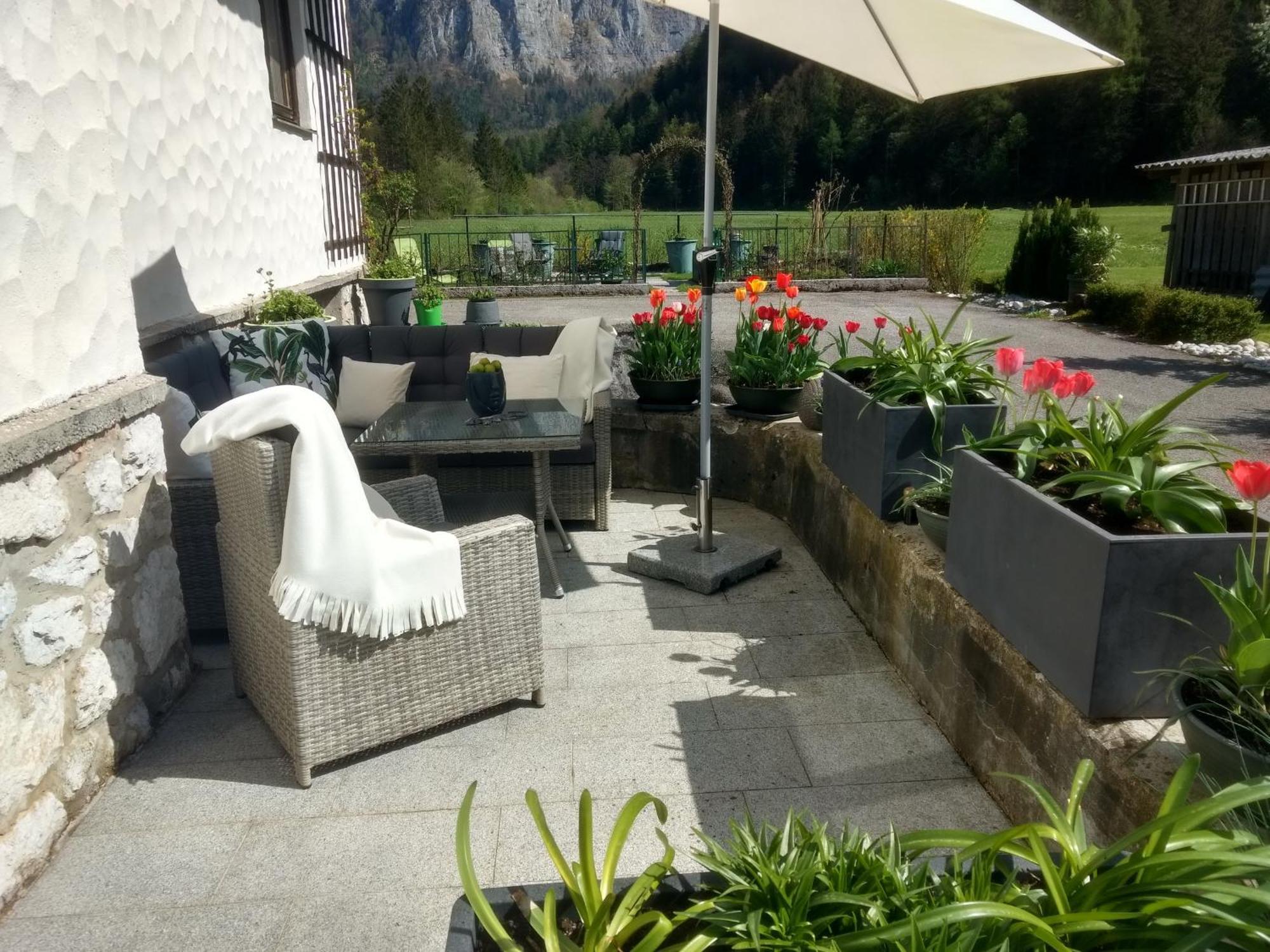 Haus Alpenblick Apartment โอเบอร์ทราวน์ ภายนอก รูปภาพ