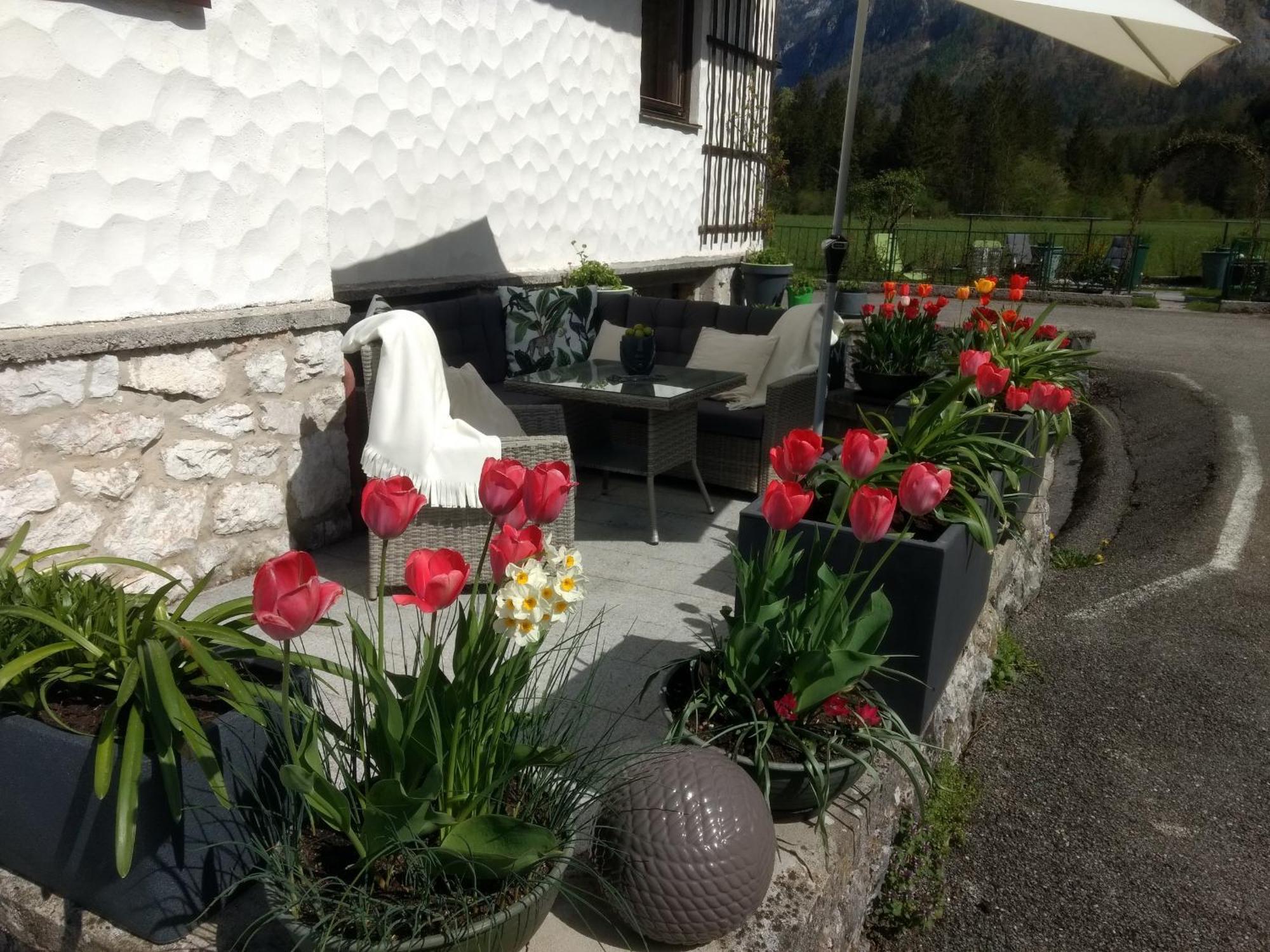 Haus Alpenblick Apartment โอเบอร์ทราวน์ ภายนอก รูปภาพ